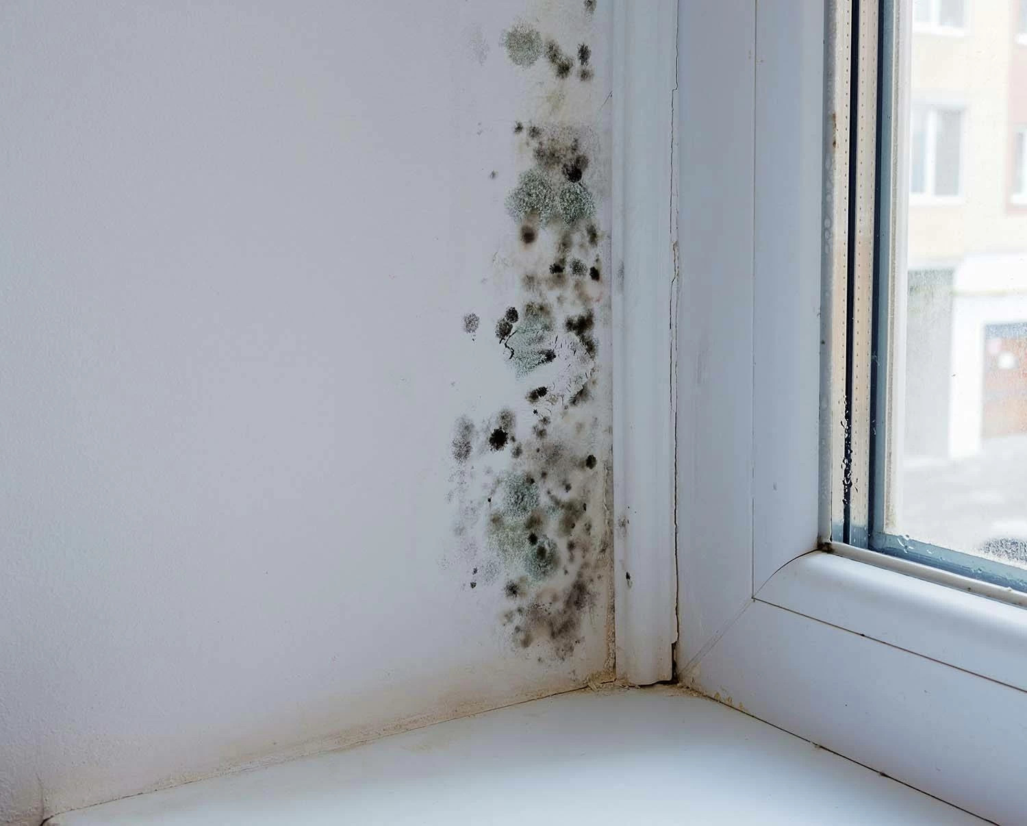 how to prevent mould on walls