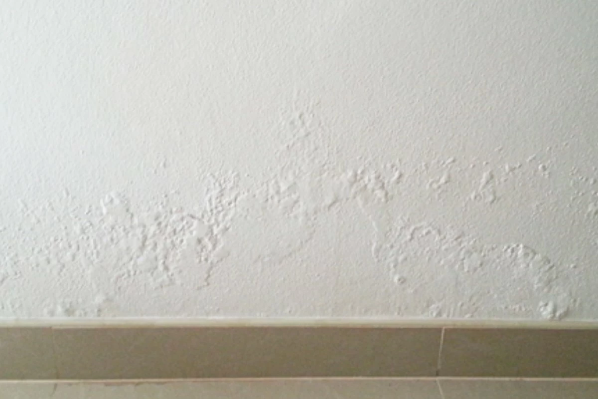 rising damp patches on internal wall causing bubbling paint