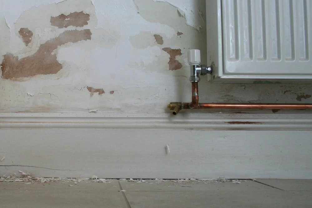 Rising Damp patches on internal walls