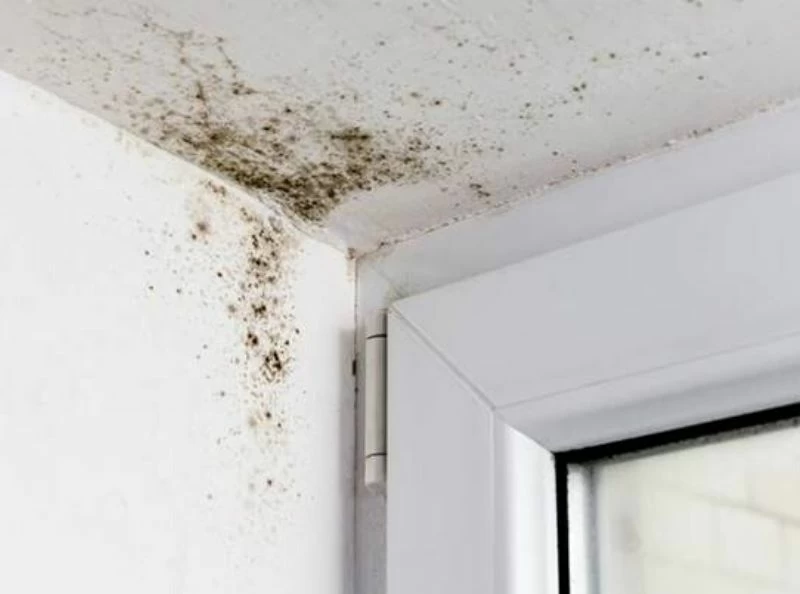 mould around the windows from condensation.