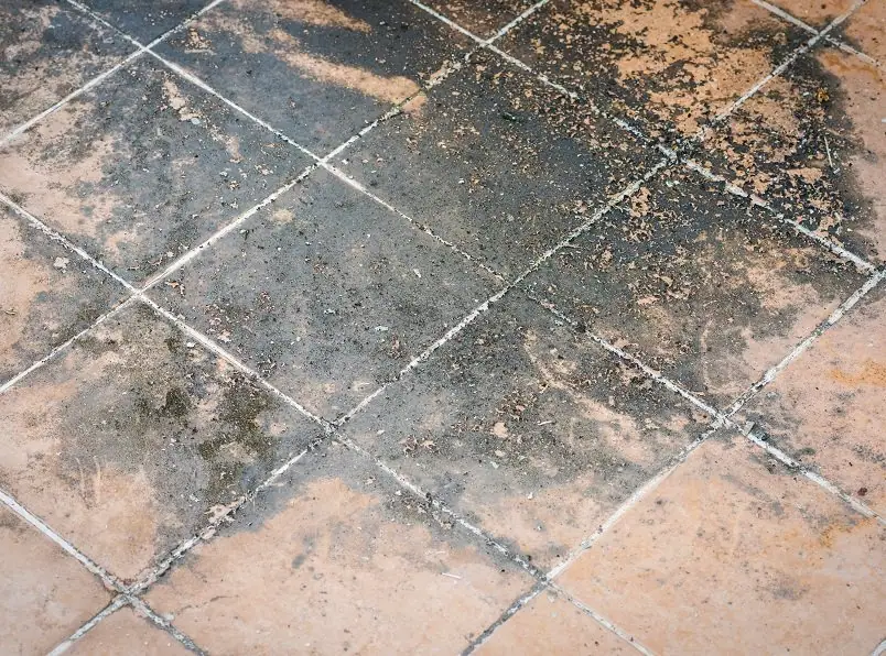 Damp Proof Flooring Specialist | Damp Floor Treatment