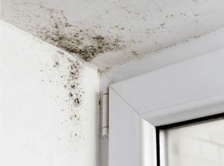 Damp on Sealing of House in Bishops Stortford
