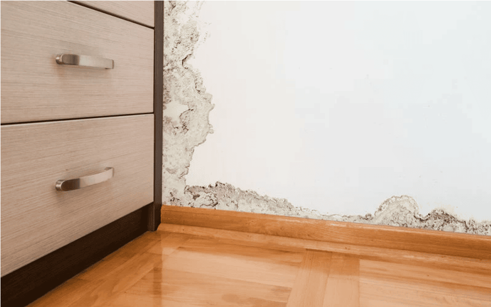 Damp proofing Bishops Stortford