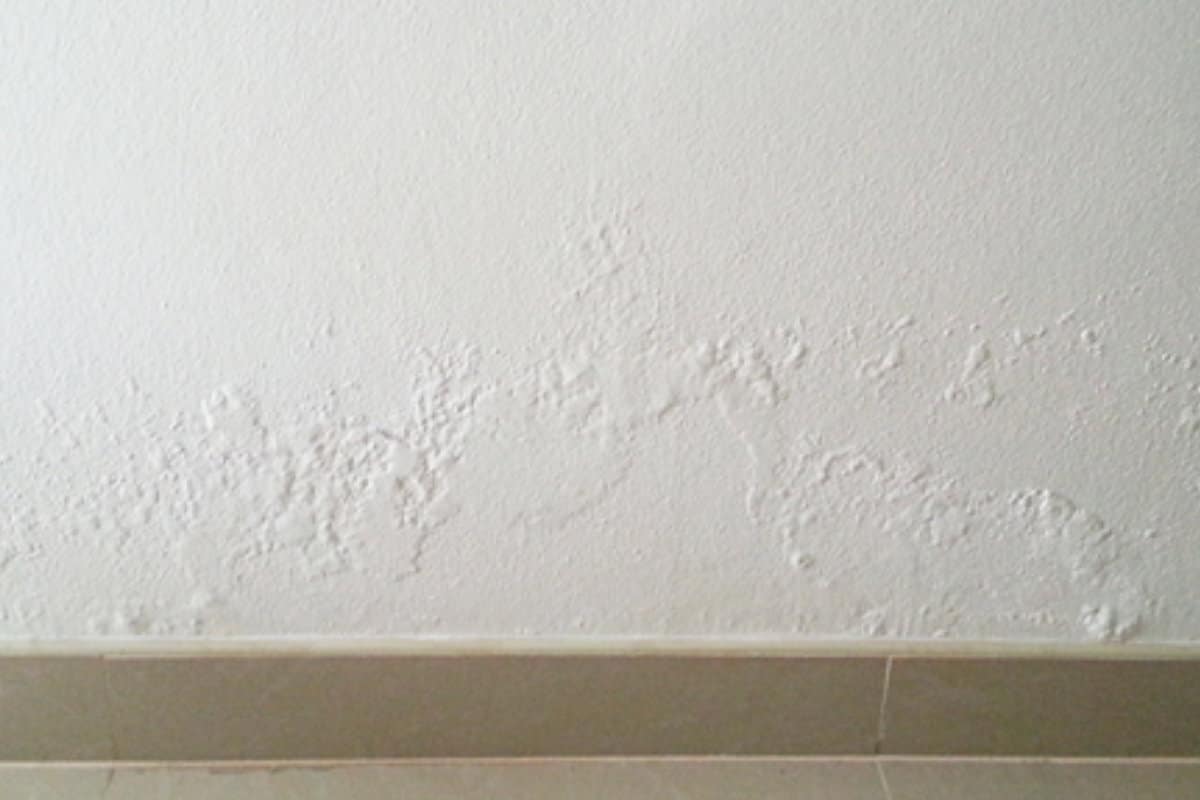 damp walls internally