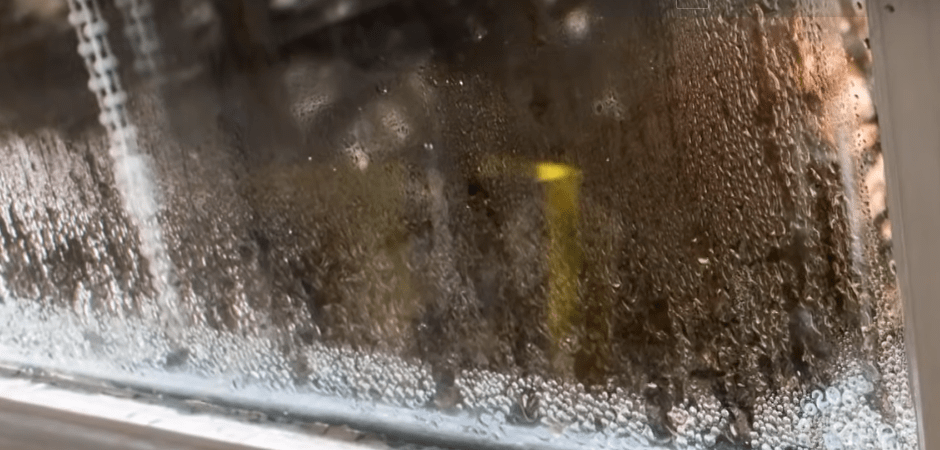 Condensation On Windows In The Winter
