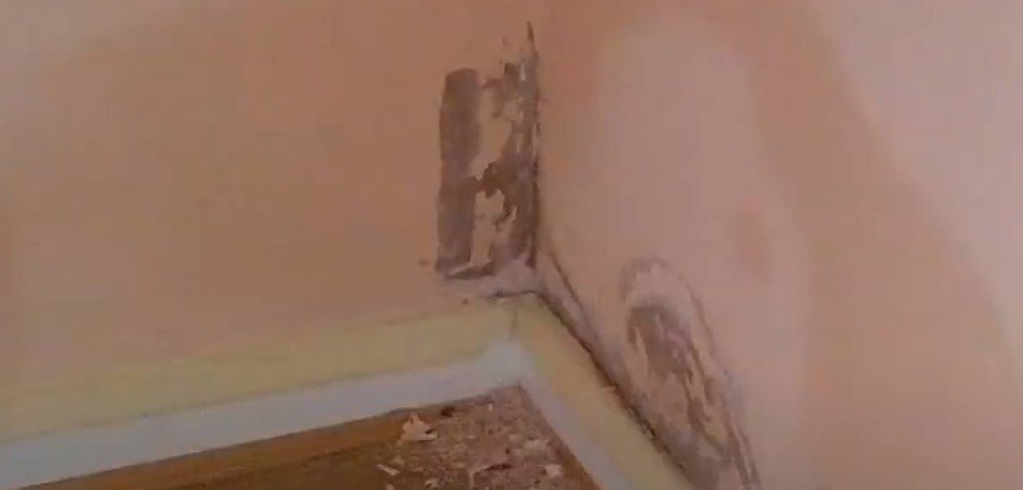 Prevent Damp and Mould