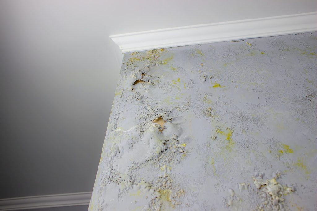 How To Fix Rising Mould
