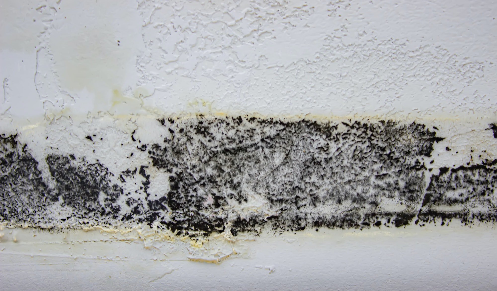 Will A Dehumidifier Remove Damp? Are They Effective?