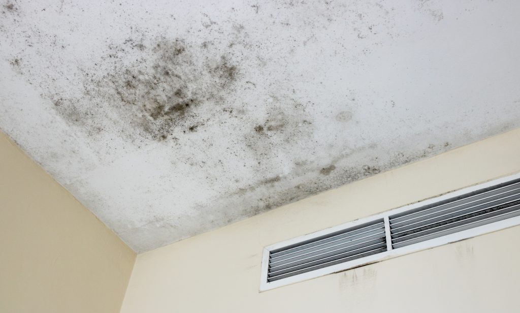 Causes of Ceiling Damp Patches