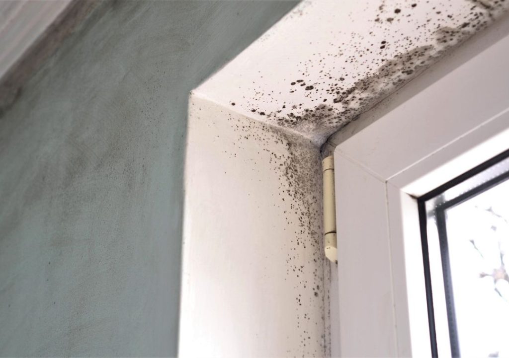 What if penetrating damp is left untreated