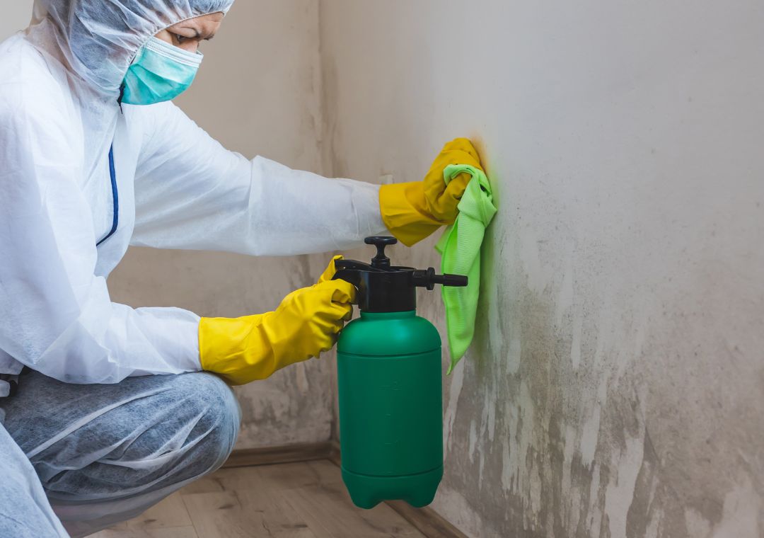 technician spraying mould resistant products 