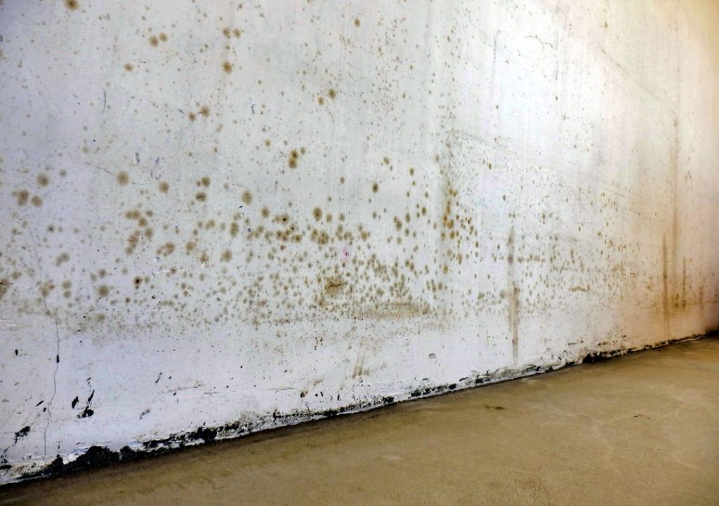 Signs Of Damp Plaster