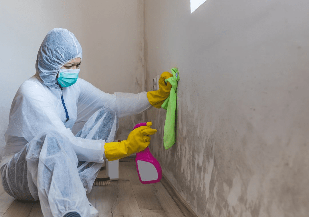 removing damp with dry fabric
