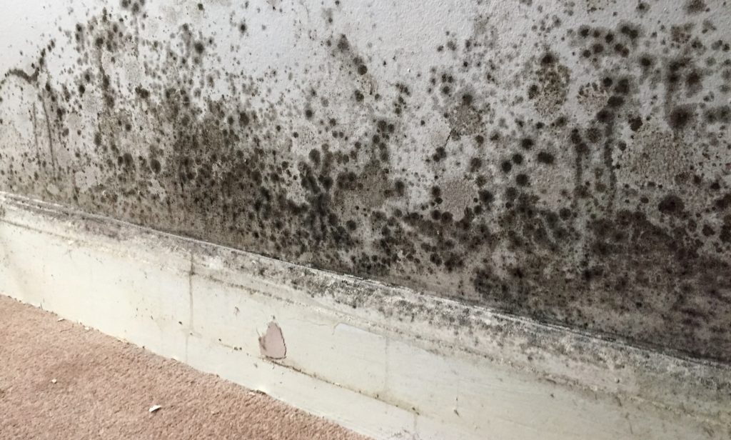 signs of penetrating damp in a property