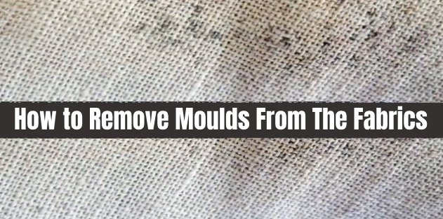 remove mould from fabric 1