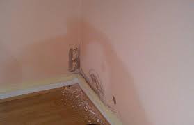 damp walls inside a house