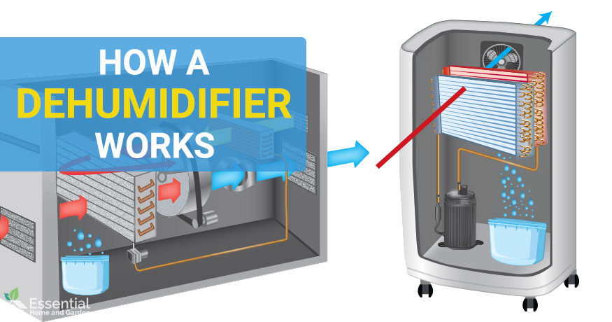 What does a dehumidifier do