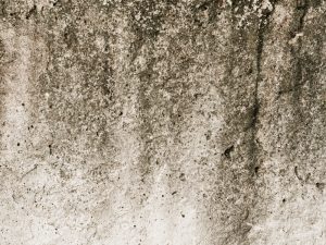 Damp Survey Damp Survey