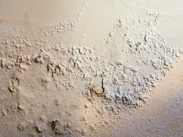 Bubbling of plaster on a wall due to damp