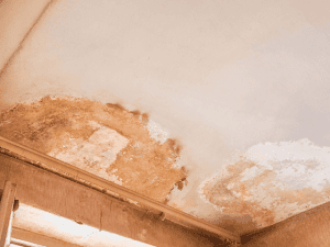 Ceiling affected due to penetrating damp Ceiling affected due to penetrating damp