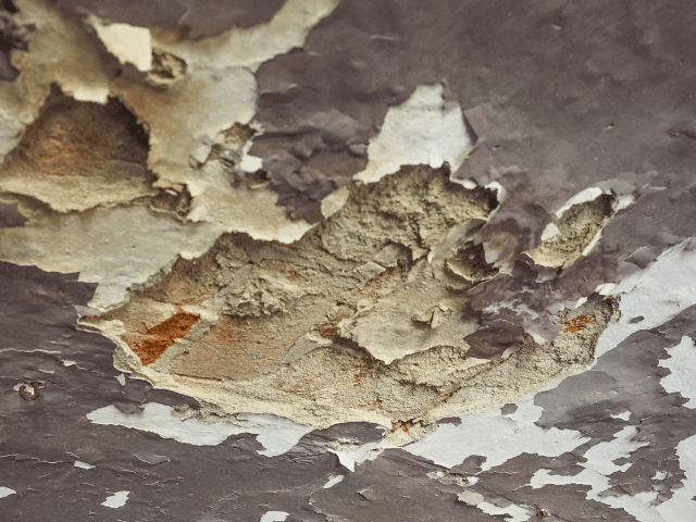 Dampness on ceiling which caused brick exposure
