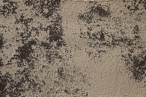 Mould In Your Carpet