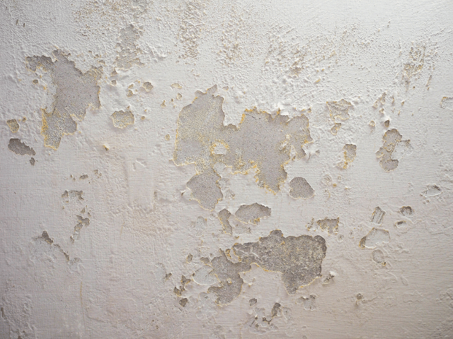 Peeling paintwork due to dampness on a wall