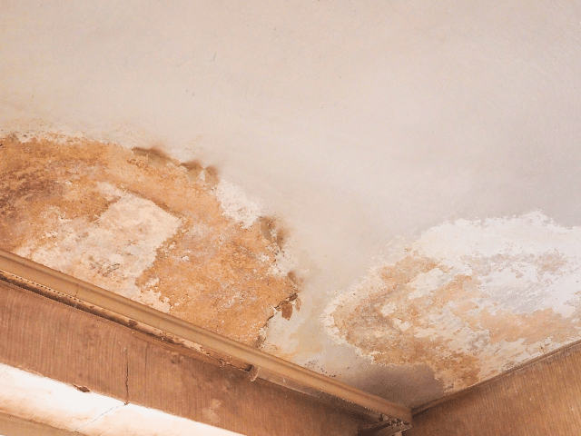 Penetrating damp and moisture on ceiling