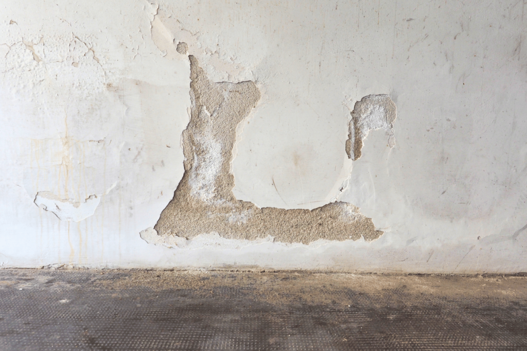 Rising damp on a wall inside house