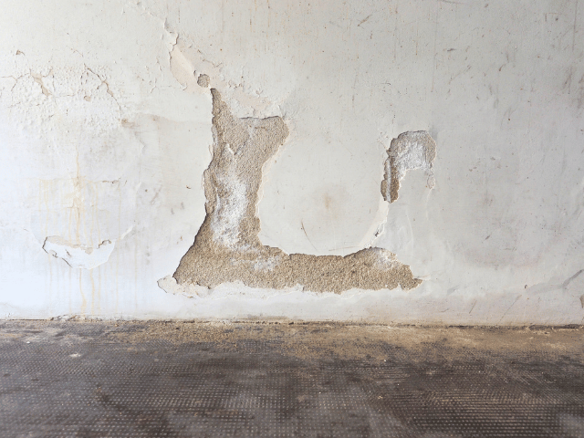 Rising damp on a wall
