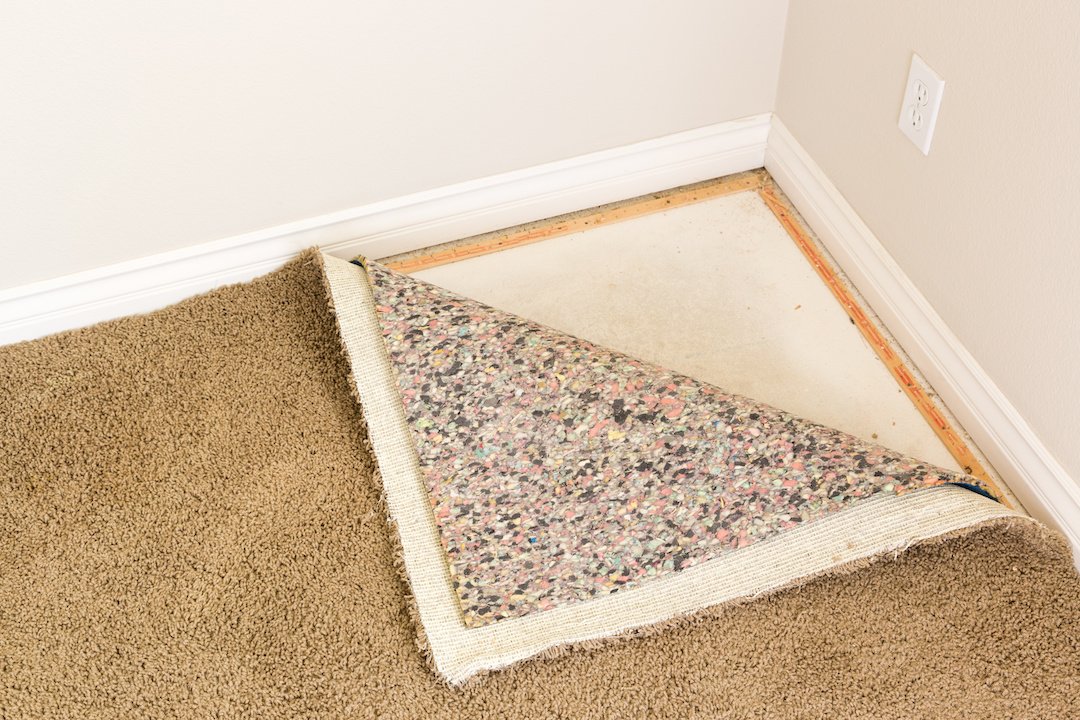 How To Remove Mould From Carpets StepbyStep Guide