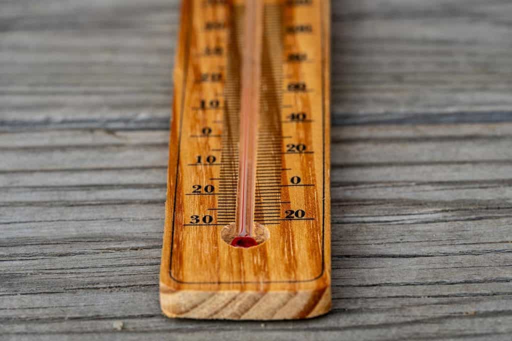 thermometer 7182677 1280 Are Bungalows More Likely to Develop Damp Than Houses? - thermometer
