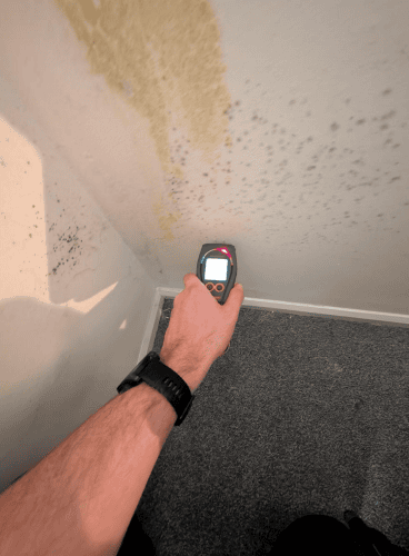 Advanced Damp surveyor testing for damp at a property in Kent