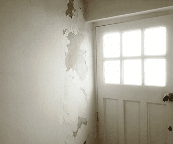 Damp Surveys in Whitstable