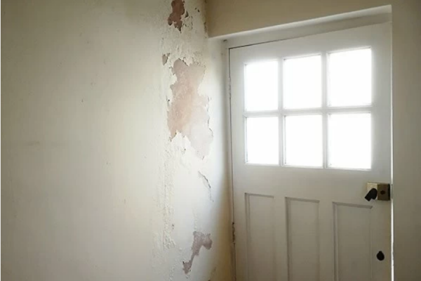Damp proofing Andover