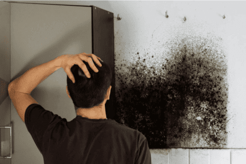 Damp proofing specialist treating a damp interior wall with a brush