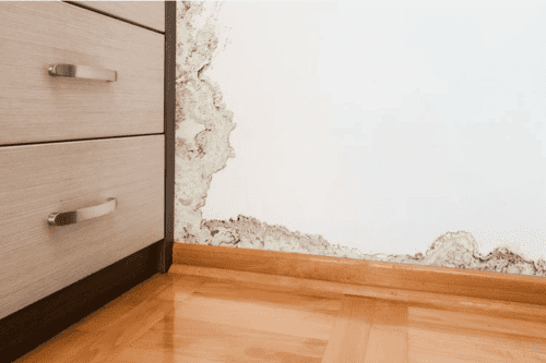 Damp proofing Newbury (3)