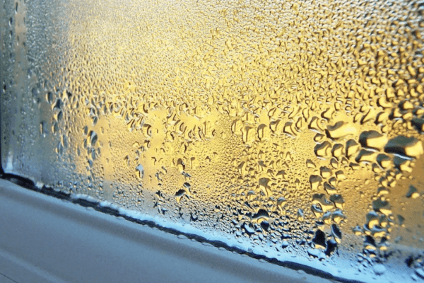 Damp proofing Newbury (6)