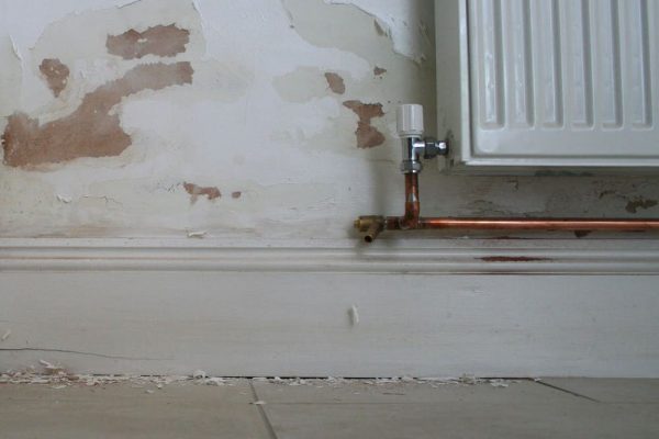 Rising Damp patches on internal walls Rising Damp patches on internal walls